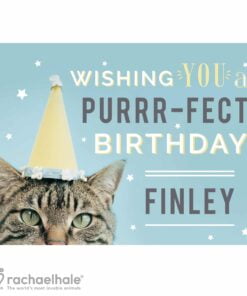 Personalised Rachael Hale Purr-fect Birthday Card