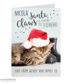 Personalised Rachael Hale Santa Claws Christmas Cat Card