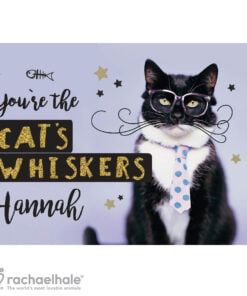 Personalised Rachael Hale You’re the Cats Whiskers Card