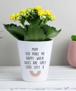 Personalised Rainbow Plant Pot