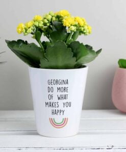 Personalised Rainbow Plant Pot