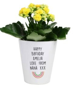 Personalised Rainbow Plant Pot