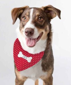 Personalised Red Polka Dot Dog Bandana