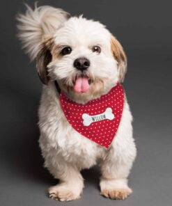 Personalised Red Polka Dot Dog Bandana