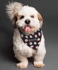 Personalised Santa Black Dog Bandana