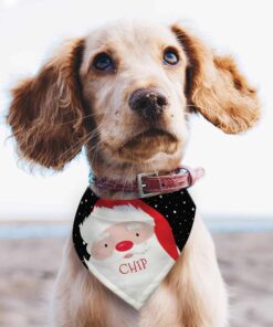 Personalised Santa Dog Bandana