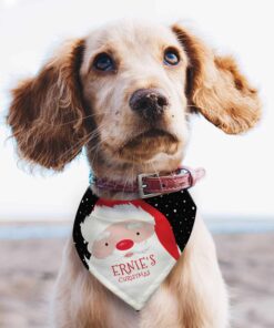 Personalised Santa Dog Bandana