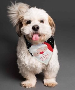 Personalised Santa Dog Bandana