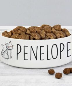 Personalised Scribble Cat 14cm Medium Pet Bowl