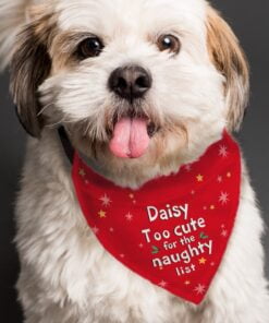 Personalised ‘Too cute for the naughty list’ Dog Bandana