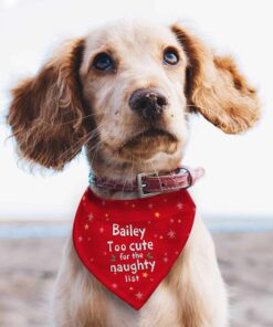 Personalised ‘Too cute for the naughty list’ Dog Bandana