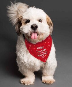Personalised ‘Too cute for the naughty list’ Dog Bandana