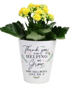 Personalised Thank You For Helping Me Grow Plant Pot