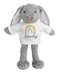 Rainbow Bunny Rabbit