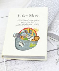 Noahs Ark Holy Bible