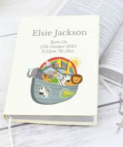 Noahs Ark Holy Bible